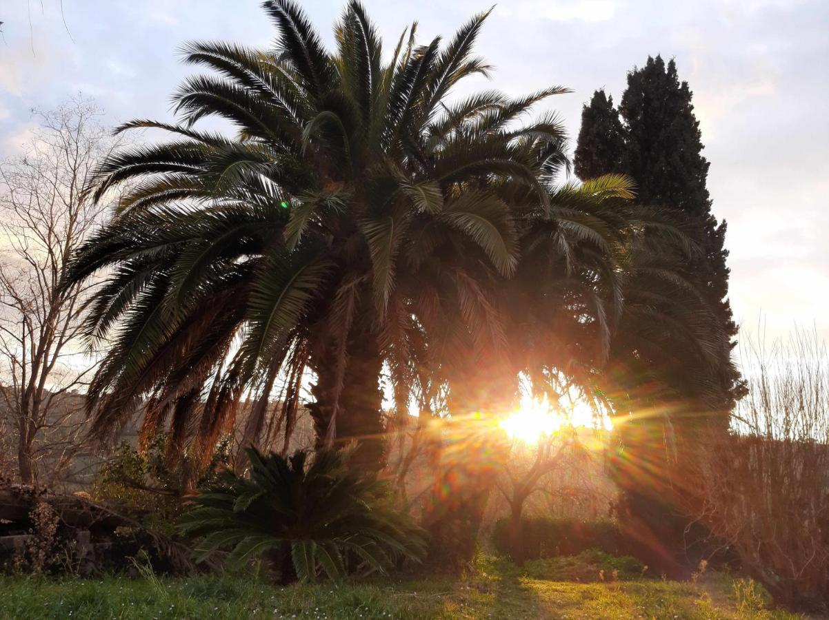 La Meriggia Senigallia Agriturismo Анкона Екстериор снимка