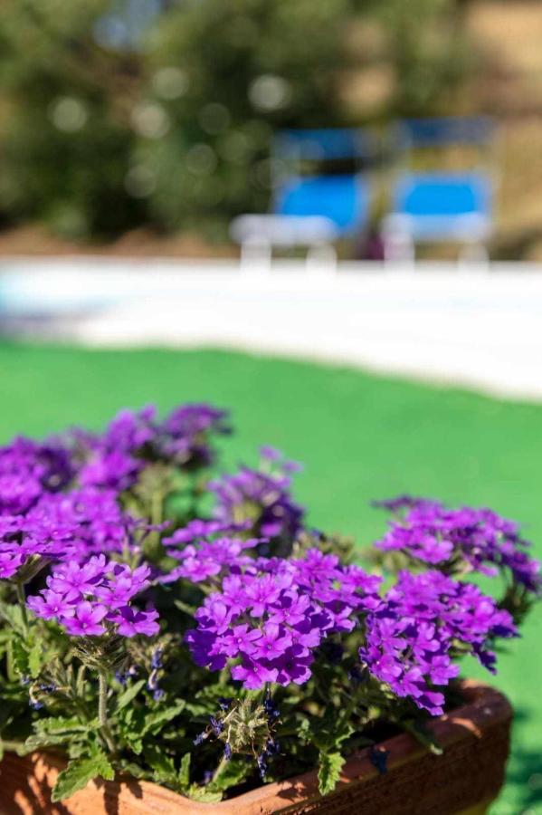 La Meriggia Senigallia Agriturismo Анкона Екстериор снимка